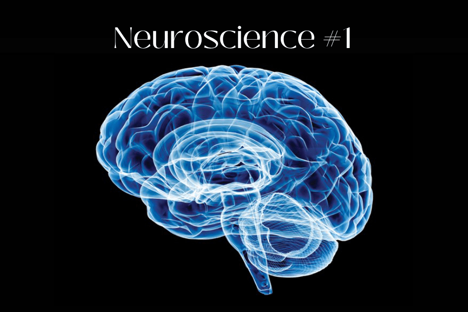 Basics of Neuroscience